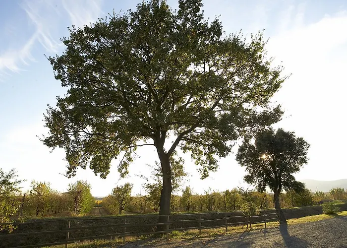 Agriturismo Lucerna del Lago Prile Castiglione della Pescaia
